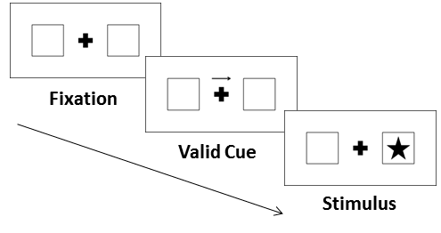 A schematic of a location cuing experiment (created by Local870, CC BY 3.0)